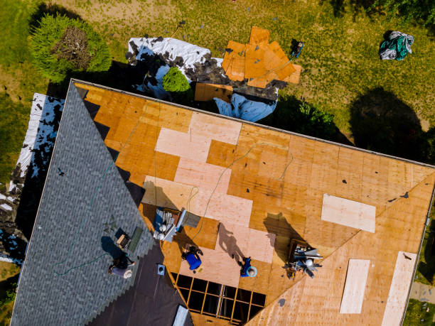 Best Flat Roof Repair Services  in Manchester, GA