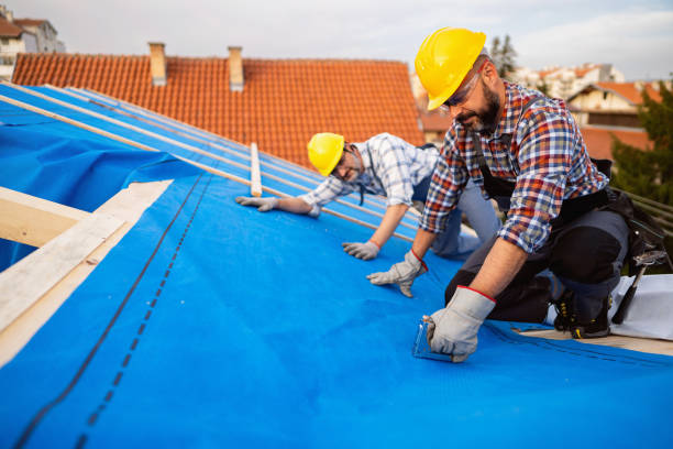 Best Roof Gutter Cleaning  in Manchester, GA